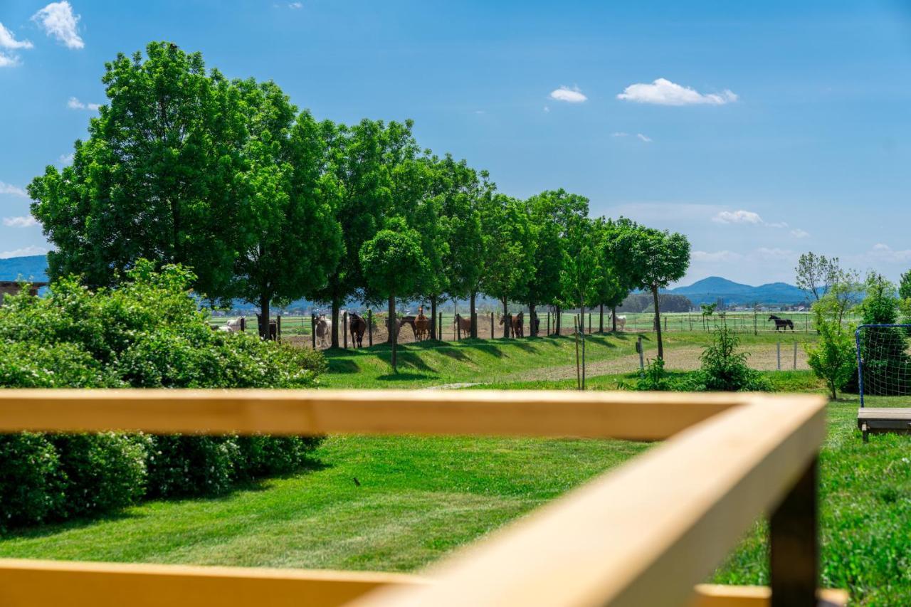 فندق Horse Glamping Park Cirkovce المظهر الخارجي الصورة
